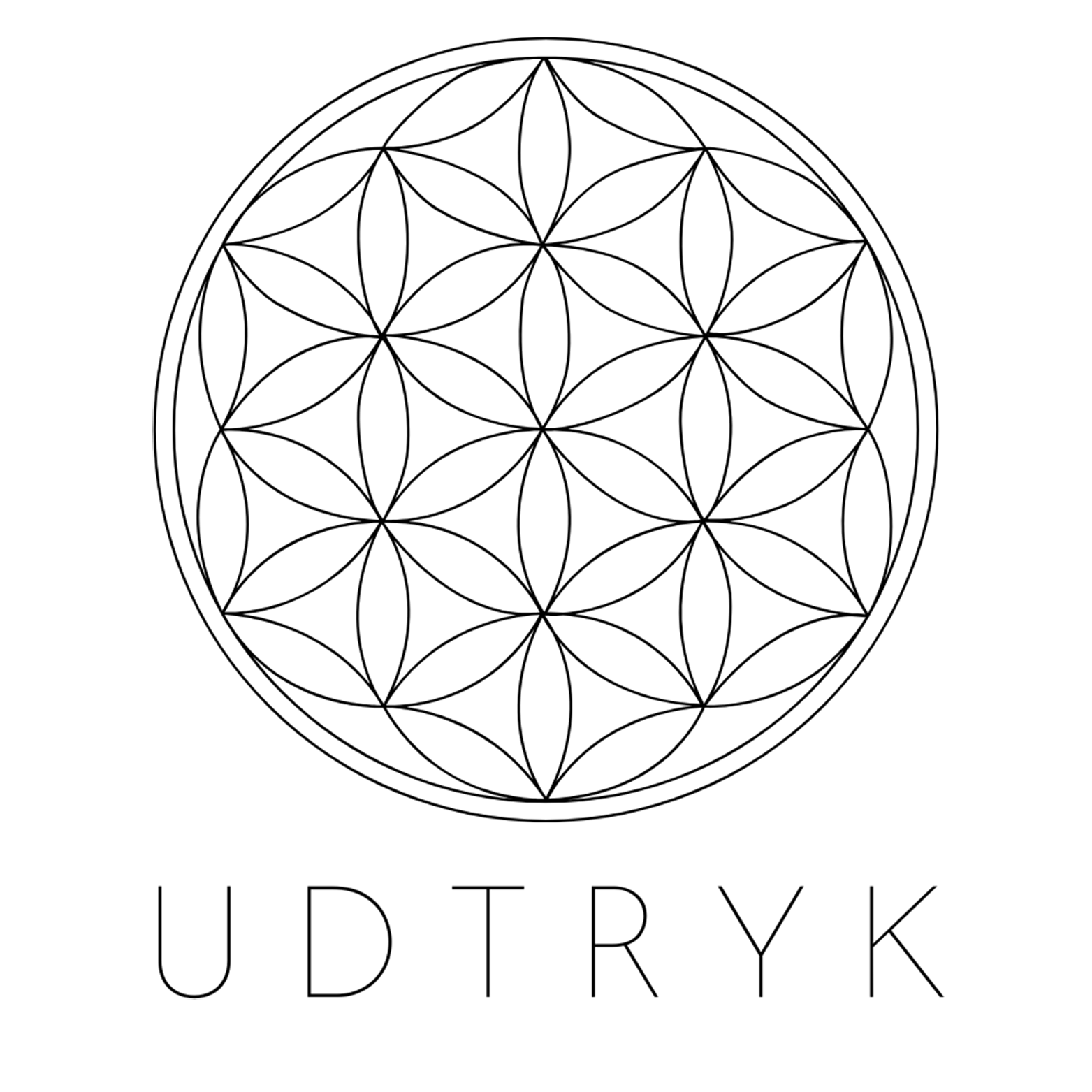 Udtryk