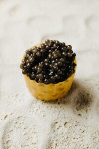 Lille Moelle_retter-20